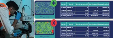 Microstructure analysis with a Nikon optical microscope and measurement results